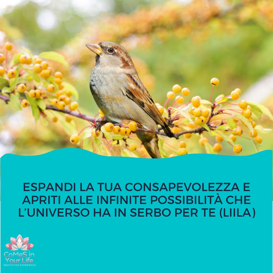 Le infinite possibilità