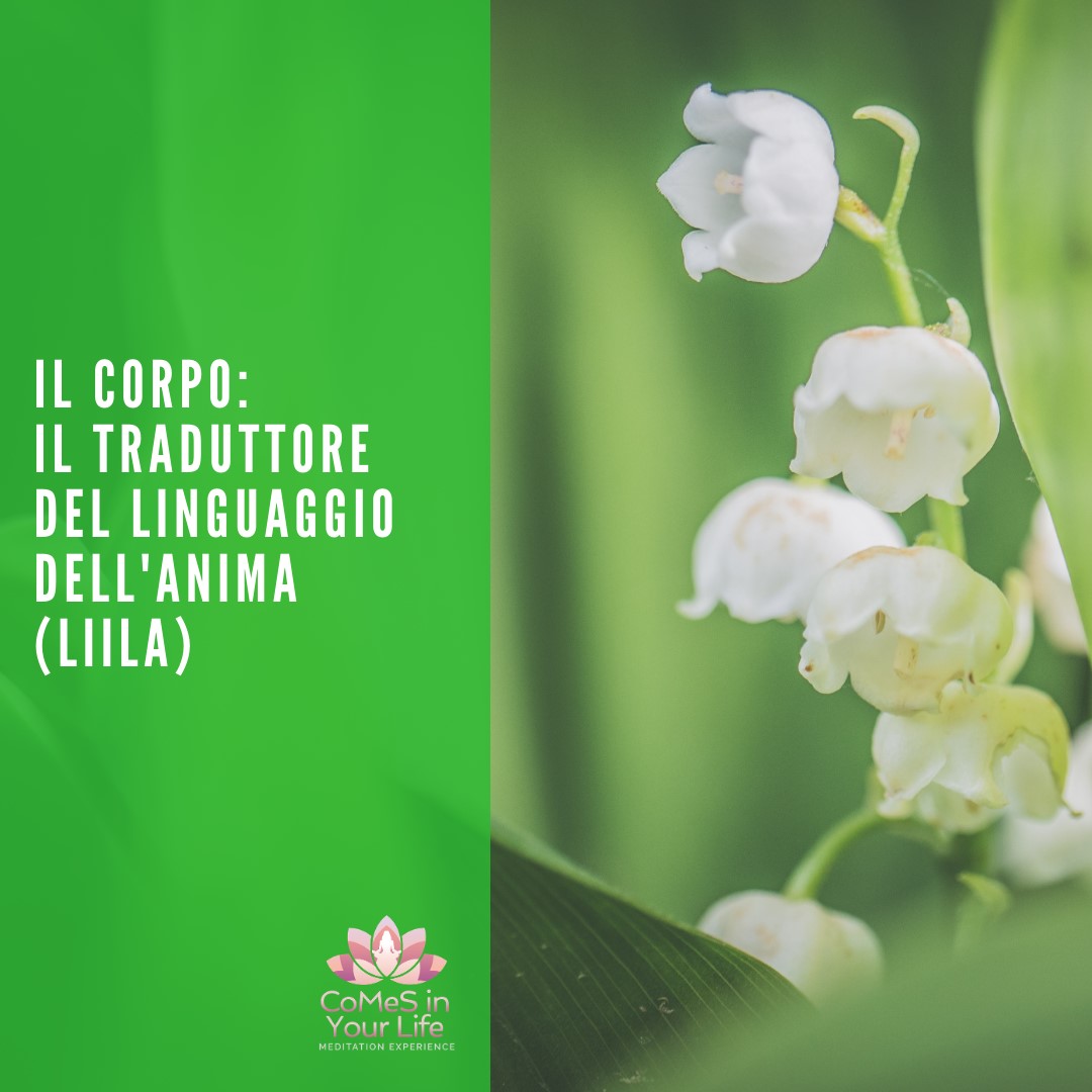 L'anima