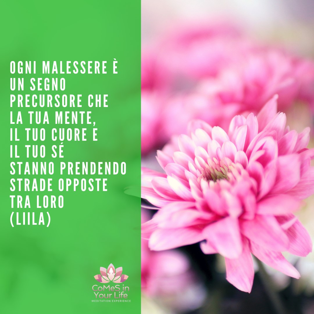 Segui la stessa strada