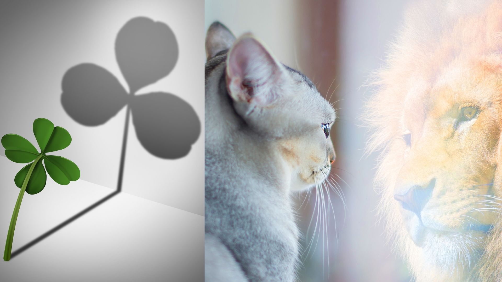 Evento Il mio Valore