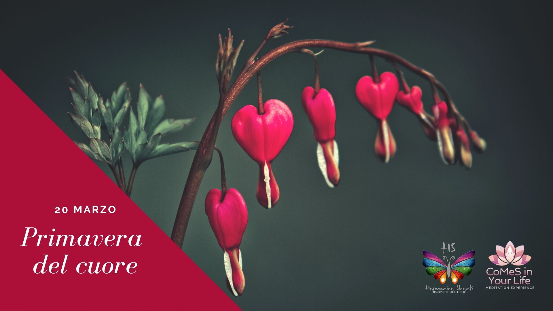 La Primavera del cuore